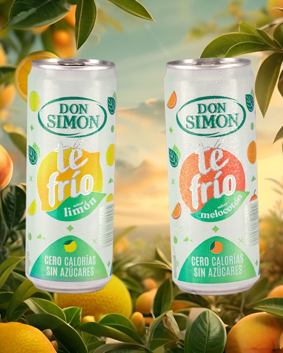 Don Simón