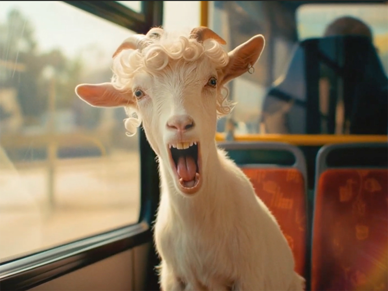 Old Spice et Don de Havas vous invitent à ne pas 'promener le bouc' cet été !