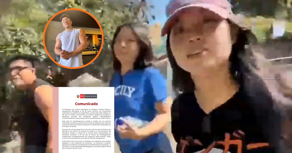 Mincul dit stop aux propos discriminatoires dans un stream sur le Metropolitano après la phrase : « Tu vas et tu vois plusieurs alpacas » !